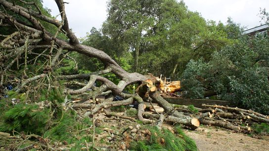 What Is the Colorado FAIR Plan? What Homeowners Need to Know as Insurance Options Shrink